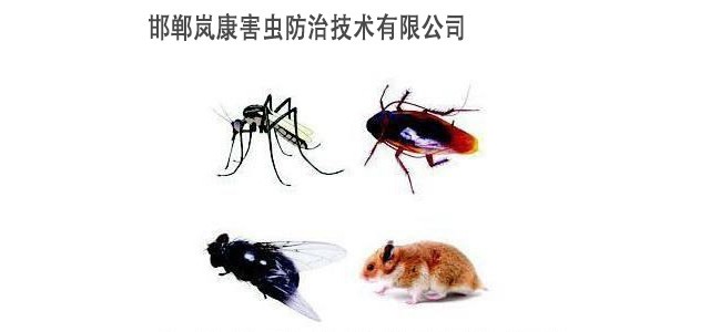 邯鄲消殺公司，邯鄲殺蟲公司，邯鄲蟲控專家公司